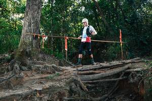 BIB: 
                            <button type="button" onclick="openModal(27754920)" class="btn btn-primary btn-sm float-right btn-popup" data-toggle="modal" data-target=".modal-high-quality">
                        <i class="fas fa-shopping-cart"></i> Add to Cart
                    </button>
                                            <button type="button" onclick="isThisMe(27754920, true)" class="btn btn-success btn-sm float-right btn-popup btn-isme hidden" data-toggle="tooltip" data-placement="bottom" title="นี่คือรูปของคุณใช่ไหม คลิกที่นี่เพื่อเอาเข้าอัลบั้ม">
                        <i class="fas fa-plus"></i> Add to album
                    </button>
                    <button type="button" onclick="isThisMe(27754920, false)" class="btn btn-warning btn-sm float-right btn-popup btn-isnotme hidden">
                        <i class="fas fa-ban"></i> Remove from album
                    </button>